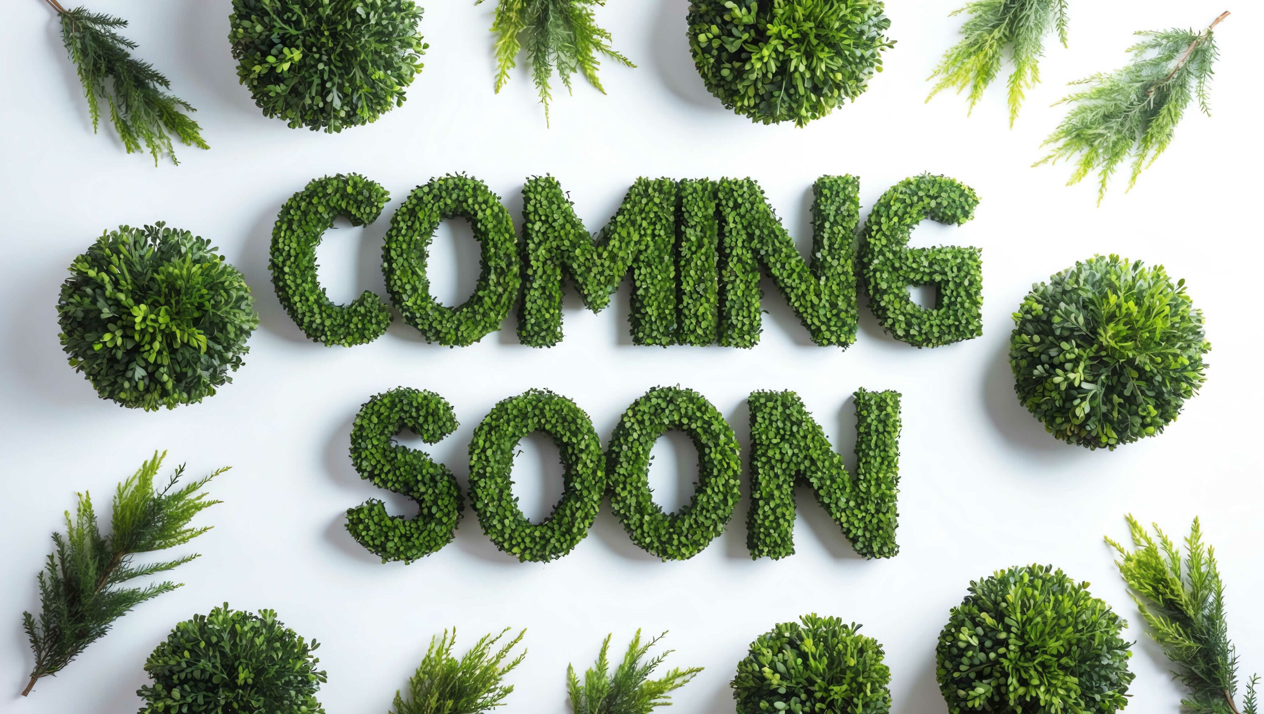 coming soon word shrubs trimmed on white background